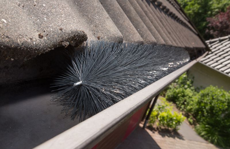Foto - Dakgootborstels
