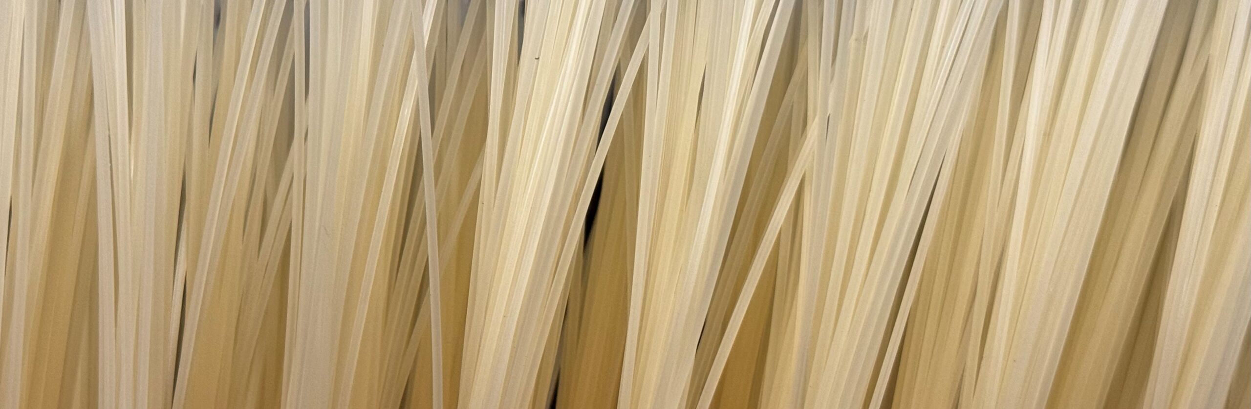 Microvrije borstelharen