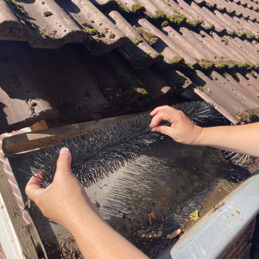 Foto - Natuurvrij maken van gebouwen: bescherming tijdens renovatie en isolatie